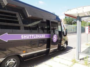 shuttle mare