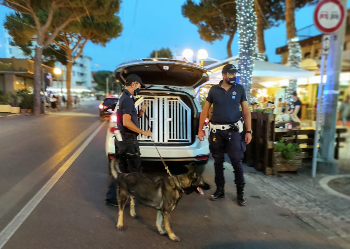 Pattuglione Polizia Locale con le unità cinofile