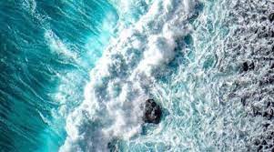 La natura e il mare