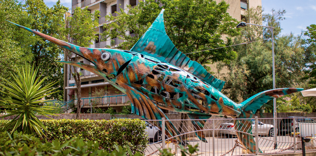 Museo Diffuso della Marineria: inaugurato il nuovo percorso culturale per la marineria riminese | Comune di Rimini