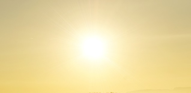 sole