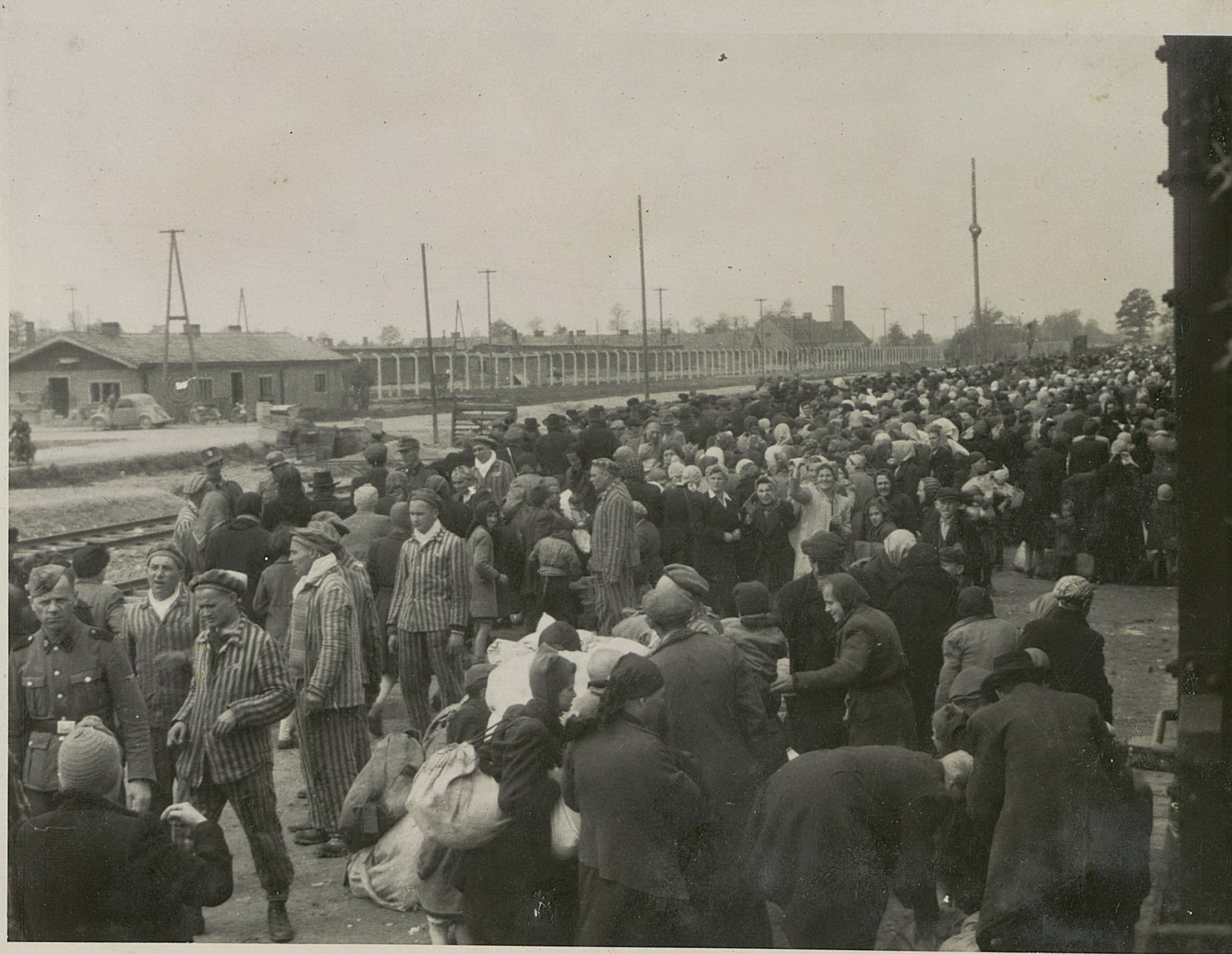 27 gennaio: ‘Giorno della Memoria