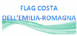 Logo Flag Costa