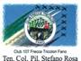 Frecce Tricolori