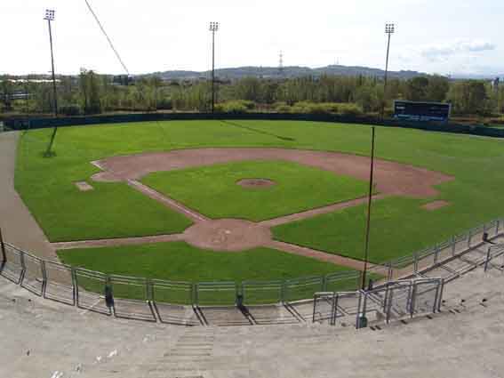 Stadio Baseball