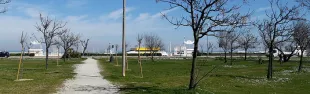 Parco Murri