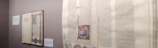 dante nella storia della gambalunga