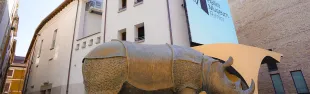Rina, la rinocerontessa di Fellini