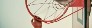 basket