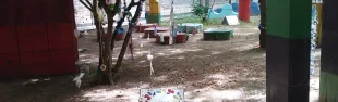 931.jpg