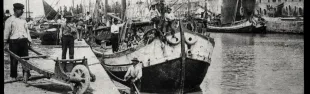 afp001988.jpg