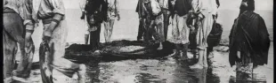 afp002005.jpg