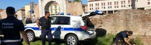 ancora_in_azione_iago_e_bruce.jpg
