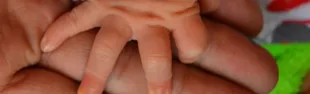 bebe.jpg