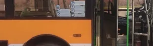 bus_2.jpg