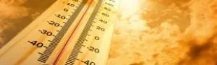 caldo_0.jpg