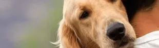 cane_0.png