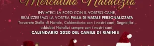 canile_natale.jpg