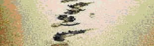 corpi_0.gif