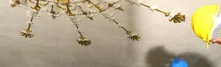 decorazioni-galli-anteprima.jpg