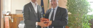 dinuzzo.jpg