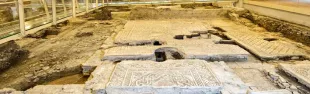 domus-del-chirurgo-a-rimini.jpg
