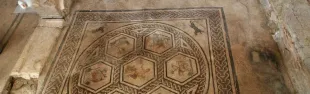 domus1.jpg