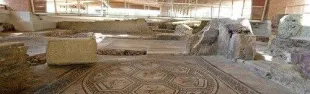 domus_1.jpg