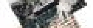 getimage.phpdatabasecomune_riminiid12384ext_1.jpg