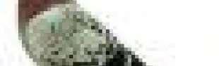 getimage.phpdatabasecomune_riminiid12557ext_0.jpg
