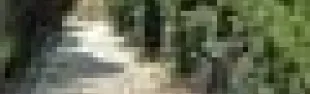 getimage.phpdatabasecomune_riminiid15449ext_0.jpg