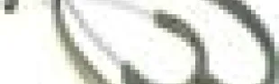 getimage.phpdatabasecomune_riminiid17073ext_0.jpg