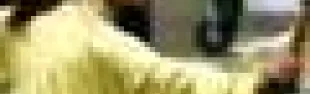 getimage.phpdatabasecomune_riminiid17405ext.jpg