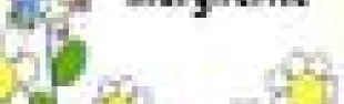 getimage.phpdatabasecomune_riminiid19800ext_0.jpg