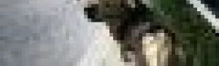 getimage.phpdatabasecomune_riminiid23425ext_0.jpg