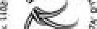 getimage.phpdatabasecomune_riminiid25582ext_0.jpg