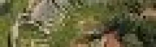 getimage.phpdatabasecomune_riminiid29183ext_0.jpg
