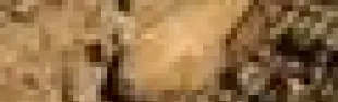 getimage.phpdatabasecomune_riminiid3186ext_0.jpg