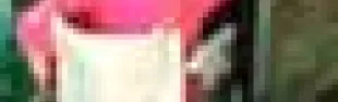 getimage.phpdatabasecomune_riminiid4251ext_0.jpg