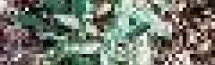 getimage.phpdatabasecomune_riminiid4675ext_0.jpg