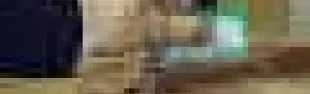 getimage.phpdatabasecomune_riminiid4682ext_0.jpg