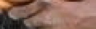 getimage.phpdatabasecomune_riminiid54141ext_0.jpg