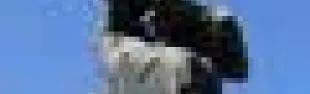 getimage.phpdatabasecomune_riminiidext_217.jpg