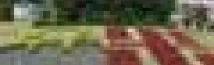 getimage.phpdatabasecomune_riminiid6393ext_0.jpg