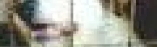 getimage.phpdatabasecomune_riminiid7998ext_2.jpg