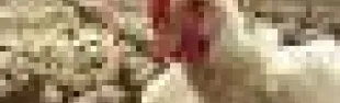 getimage.phpdatabasecomune_riminiid8354ext_0.jpg