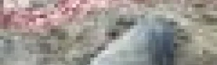 getimage.phpdatabasecomune_riminiid9235ext_0.jpg