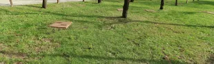 giradino_della_memoria_img_5853_0.jpg