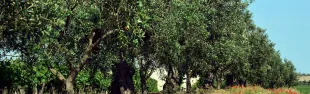 images_7.jpg