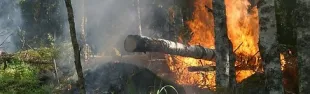 incendio.jpg